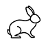 Simple line drawing of a rabbit